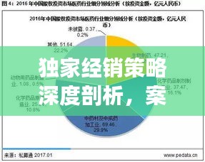 独家经销策略深度剖析，案例解析与启示