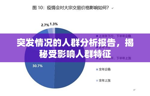 突发情况的人群分析报告，揭秘受影响人群特征