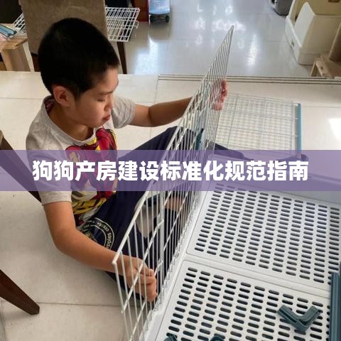 狗狗产房建设标准化规范指南