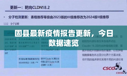 固县最新疫情报告更新，今日数据速览