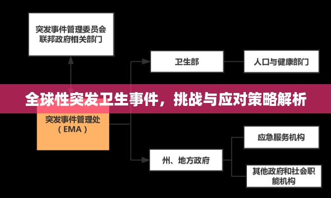 全球性突发卫生事件，挑战与应对策略解析