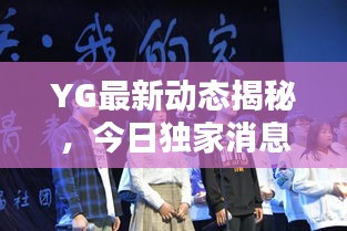 YG最新动态揭秘，今日独家消息速递！