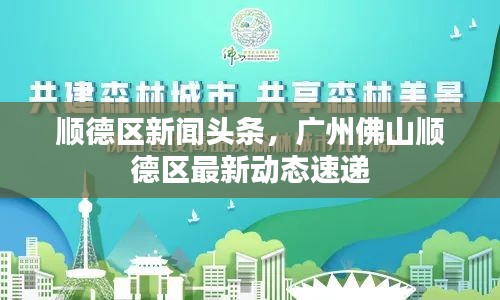 顺德区新闻头条，广州佛山顺德区最新动态速递