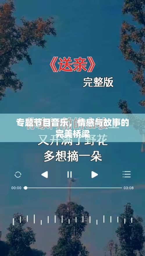 专题节目音乐，情感与故事的完美桥梁