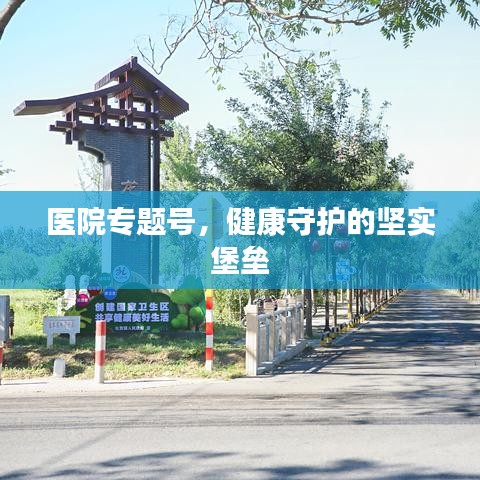 医院专题号，健康守护的坚实堡垒