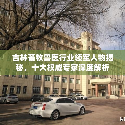 吉林畜牧兽医行业领军人物揭秘，十大权威专家深度解析