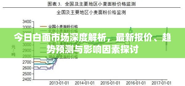 今日白面市场深度解析，最新报价、趋势预测与影响因素探讨