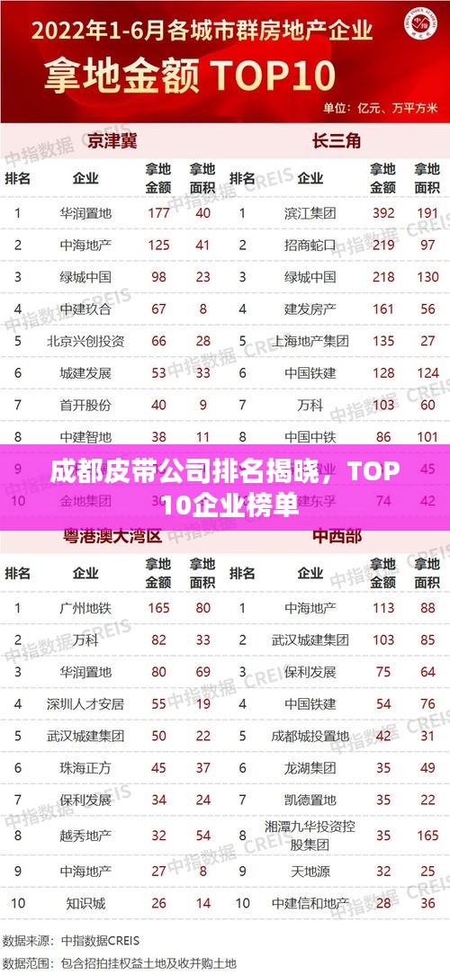 成都皮带公司排名揭晓，TOP 10企业榜单