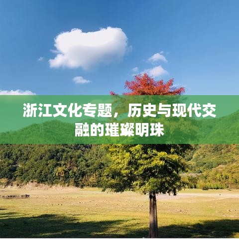 浙江文化专题，历史与现代交融的璀璨明珠