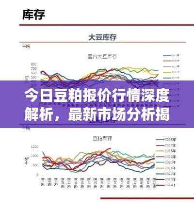 今日豆粕报价行情深度解析，最新市场分析揭秘！