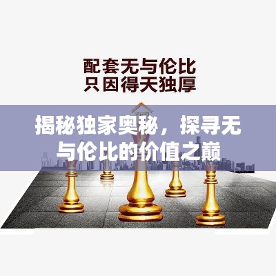 揭秘独家奥秘，探寻无与伦比的价值之巅