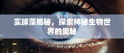 实球藻揭秘，探索神秘生物世界的奥秘