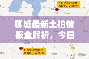 聊城最新土拍情报全解析，今日地价走势一网打尽