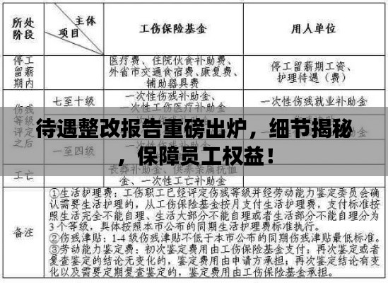 待遇整改报告重磅出炉，细节揭秘，保障员工权益！