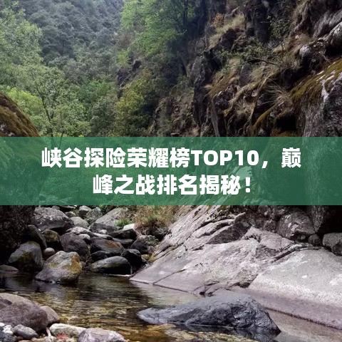 峡谷探险荣耀榜TOP10，巅峰之战排名揭秘！