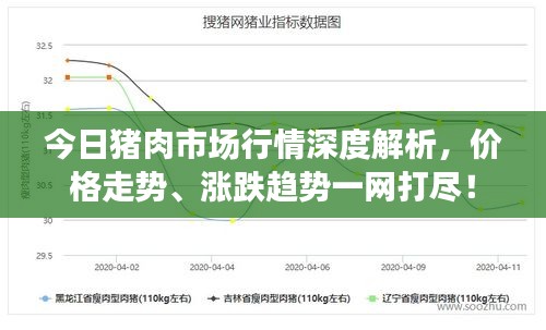 今日猪肉市场行情深度解析，价格走势、涨跌趋势一网打尽！