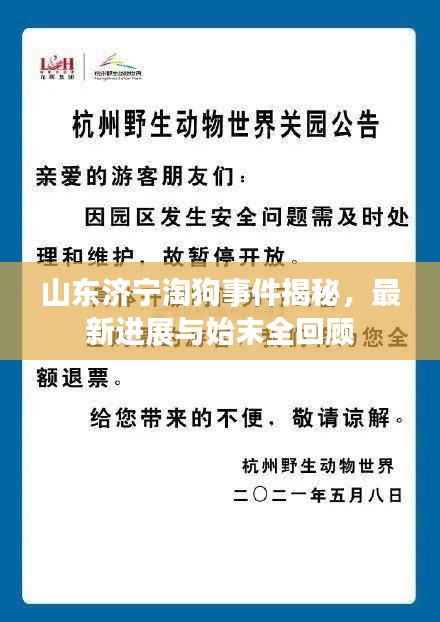 山东济宁淘狗事件揭秘，最新进展与始末全回顾