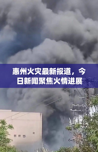 惠州火灾最新报道，今日新闻聚焦火情进展