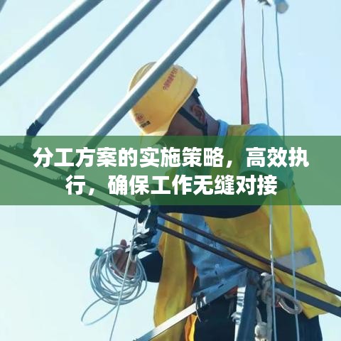 分工方案的实施策略，高效执行，确保工作无缝对接