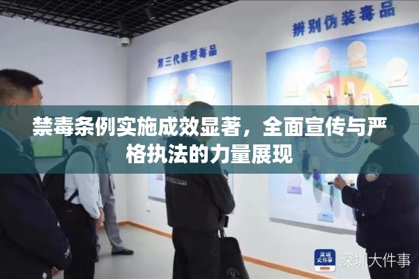 禁毒条例实施成效显著，全面宣传与严格执法的力量展现
