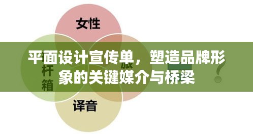 平面设计宣传单，塑造品牌形象的关键媒介与桥梁