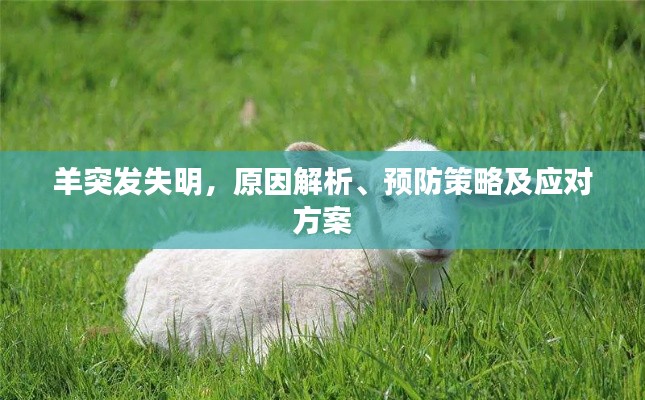 羊突发失明，原因解析、预防策略及应对方案
