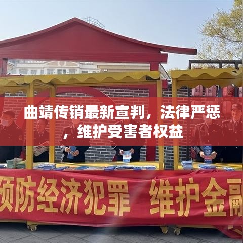 曲靖传销最新宣判，法律严惩，维护受害者权益