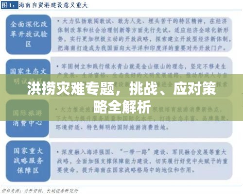 洪捞灾难专题，挑战、应对策略全解析