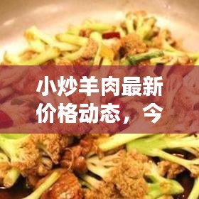 小炒羊肉最新价格动态，今日行情一网打尽！