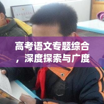 高考语文专题综合，深度探索与广度拓展