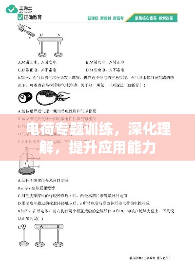 电荷专题训练，深化理解，提升应用能力