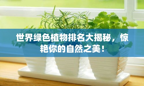 世界绿色植物排名大揭秘，惊艳你的自然之美！