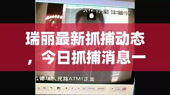 瑞丽最新抓捕动态，今日抓捕消息一览
