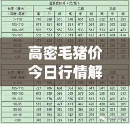 高密毛猪价今日行情解析，最新动态，洞悉市场动态