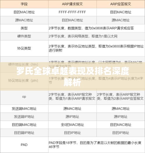 罗氏全球卓越表现及排名深度解析