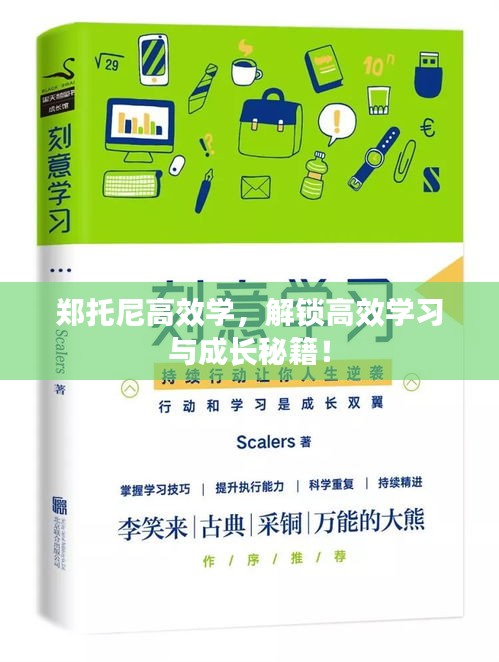 郑托尼高效学，解锁高效学习与成长秘籍！