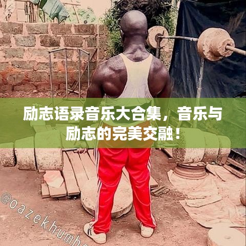 励志语录音乐大合集，音乐与励志的完美交融！
