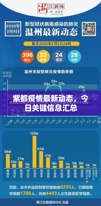 紫都疫情最新动态，今日关键信息汇总
