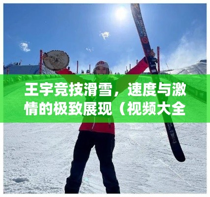 王宇竞技滑雪，速度与激情的极致展现（视频大全最新）