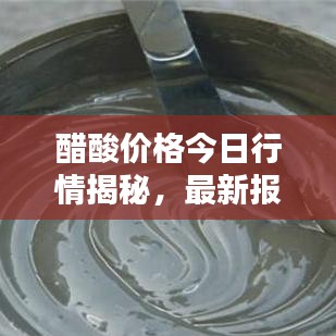 醋酸价格今日行情揭秘，最新报道全面更新
