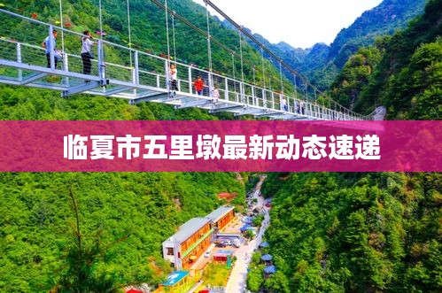 临夏市五里墩最新动态速递