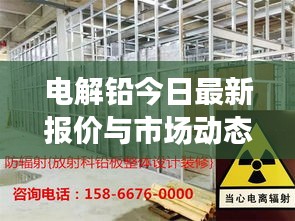 电解铅今日最新报价与市场动态深度解析