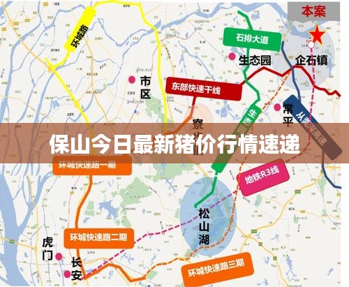 保山今日最新猪价行情速递