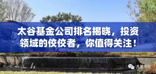 太谷基金公司排名揭晓，投资领域的佼佼者，你值得关注！