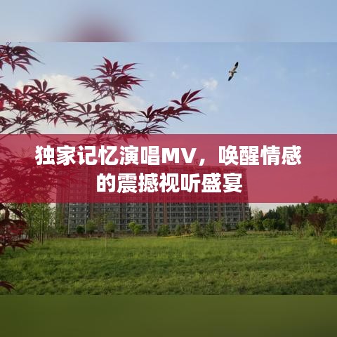 独家记忆演唱MV，唤醒情感的震撼视听盛宴
