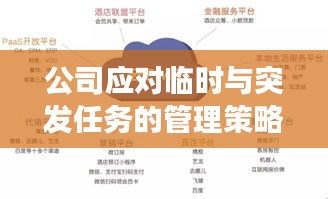 公司应对临时与突发任务的管理策略，高效应对，保障运营顺畅
