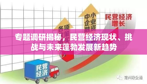 专题调研揭秘，民营经济现状、挑战与未来蓬勃发展新趋势
