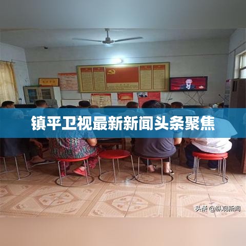 镇平卫视最新新闻头条聚焦