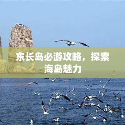 东长岛必游攻略，探索海岛魅力