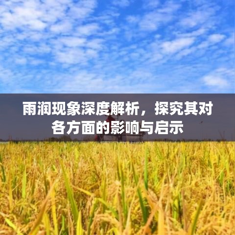 雨润现象深度解析，探究其对各方面的影响与启示